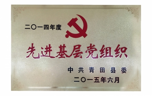 资质荣誉-K8凯发,电子式电能,智能电能表,智能开关,智能AMI系统,物联网解决规划,官方网站