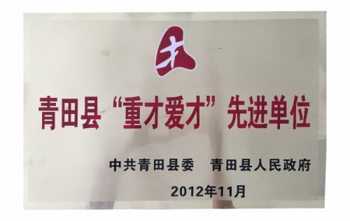 资质荣誉-K8凯发,电子式电能,智能电能表,智能开关,智能AMI系统,物联网解决规划,官方网站