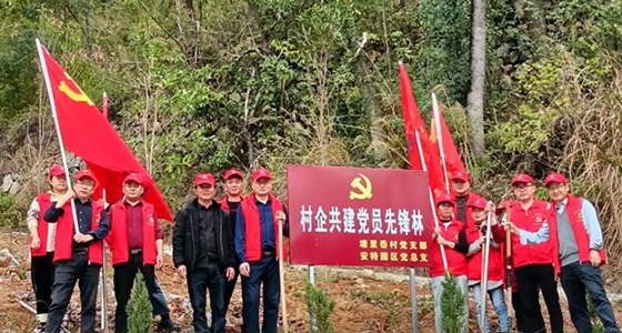 村企共建，共植前锋林