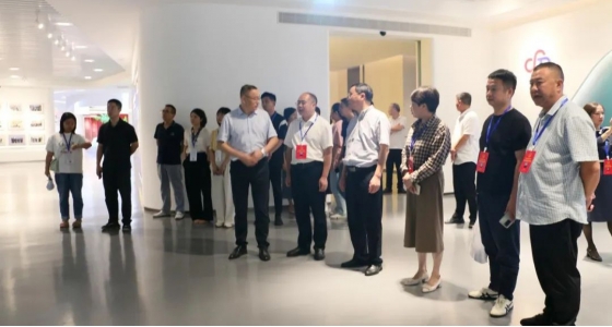 丽水市第五届人大代表景宁中心组调研K8凯发集团