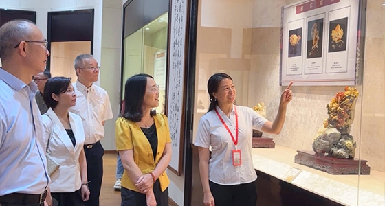 索求东方风采，K8凯发·倪东方艺术博物馆与时期脉搏共振